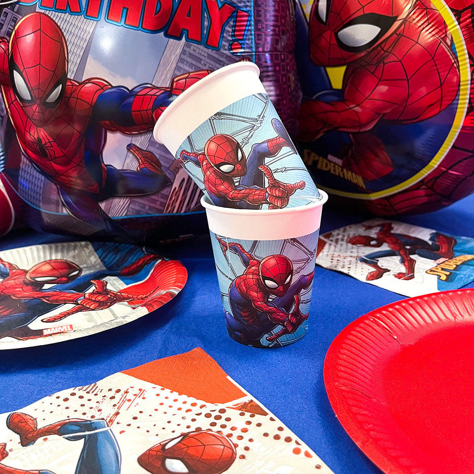 Party Set Spiderman 73pz