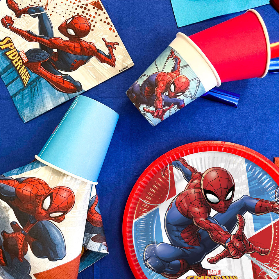 Party Set Spiderman 73pz