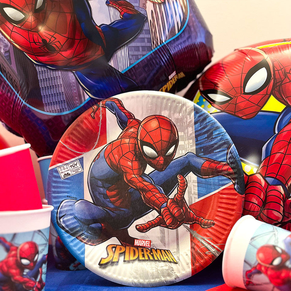 Party Set Spiderman 73pz