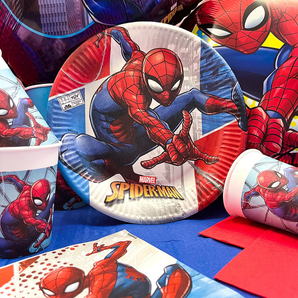 Party Set Spiderman 73pz