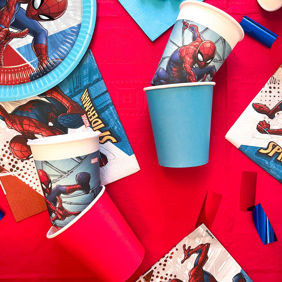 Party Set Spiderman 73pz