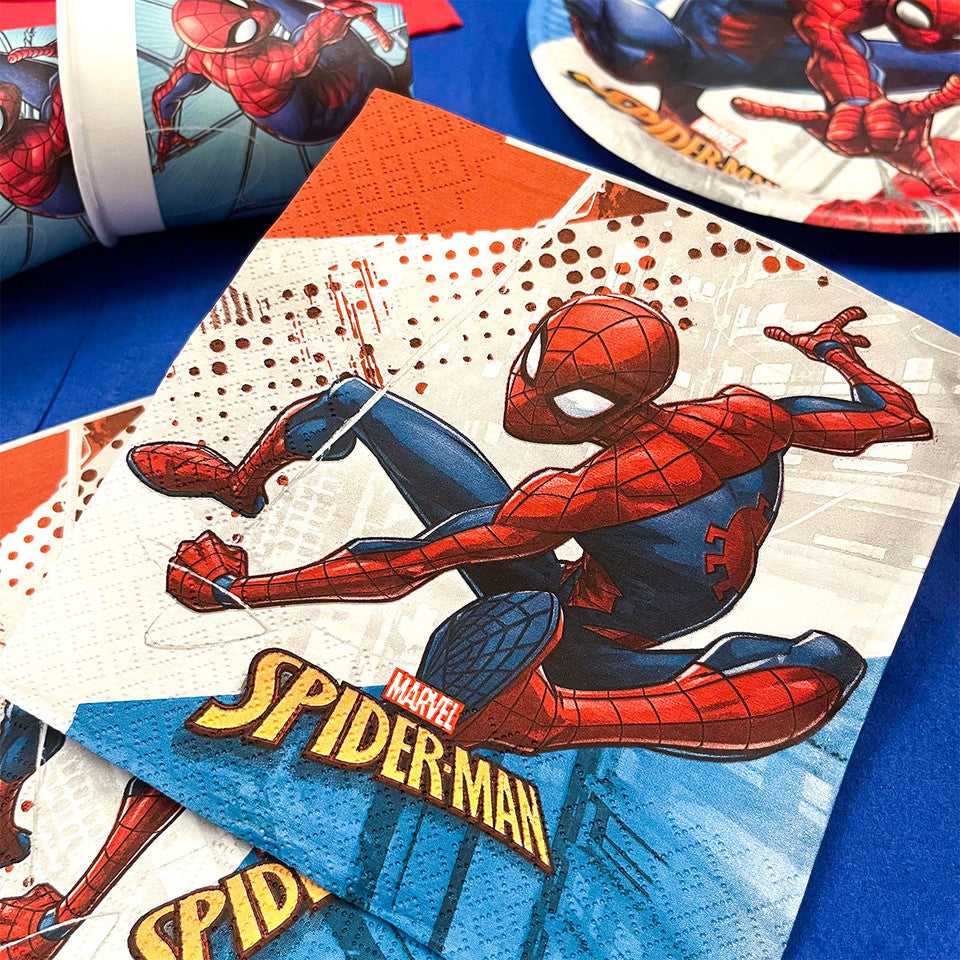 Party Set Spiderman 73pz