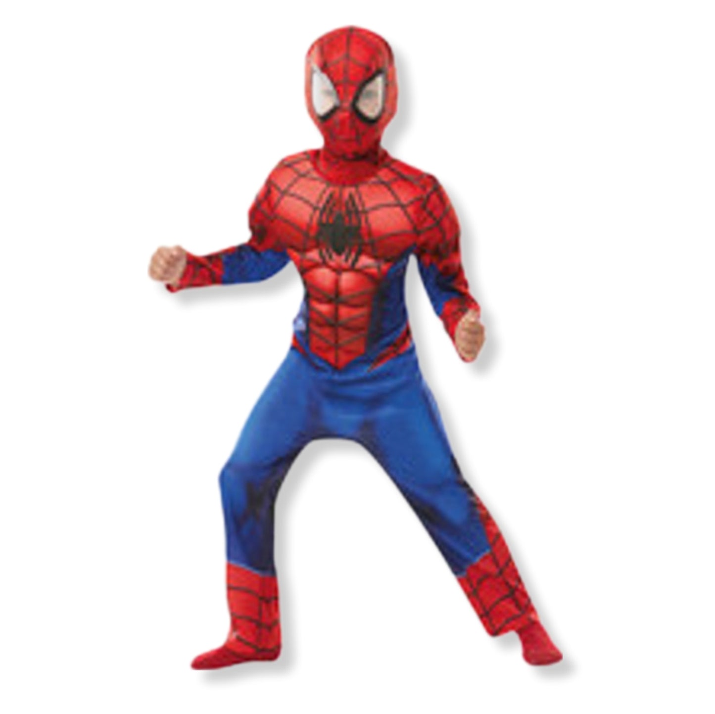 Costume Spider-Man con Muscoli